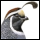 Software for hosted news websites